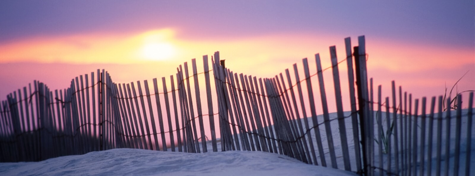 beach at sunset